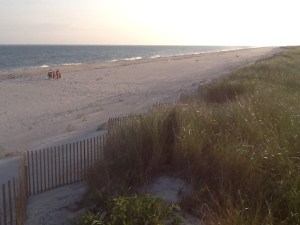 Taken August 29th, 2013, this photo captures just how healthy the vast majority of our beaches in Quogue actually are.