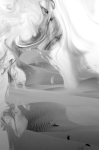 1105OPEDdraxler-master495